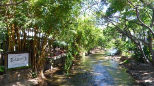 This is part of the geography of my heart, the beautiful Rio Cuale river in Puerto Vallarta, Mexico.